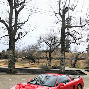 NSX NA1
