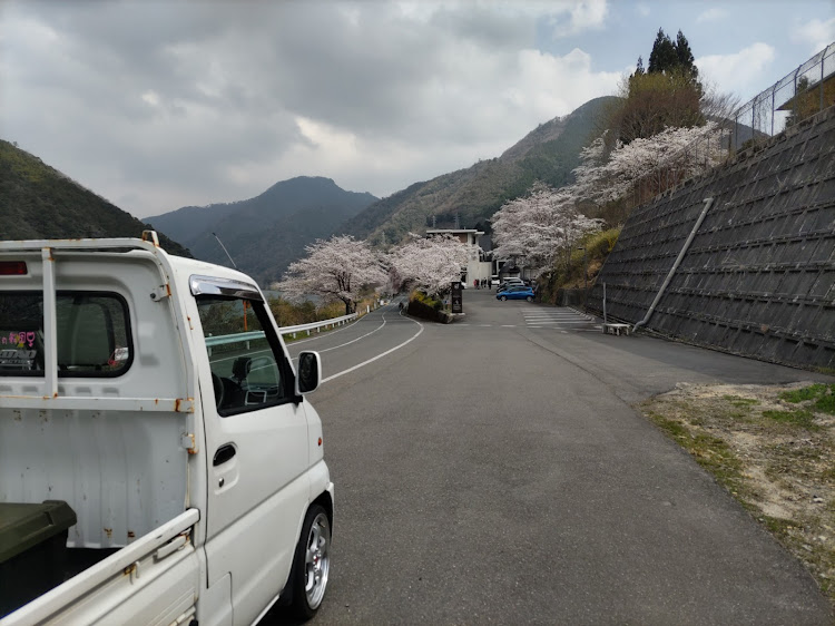 ゆうや♪ヽ(´▽｀)/さんが投稿したいつもイイね&コメントありがとうございます😊・桜シーズン開幕・三瓶さくら祭り🌸に関するカスタム事例の投稿画像2枚目
