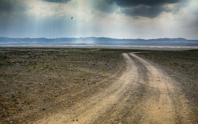 Verso Karakorum attraversando il Gobi di Alexx70