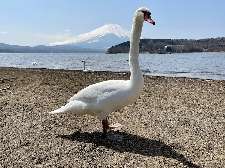 の投稿画像6枚目