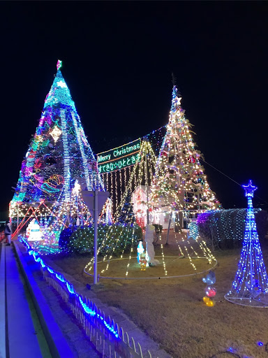 ヴォクシー Zrr80wの21年クラレクリスマスツリー アドミレイションコンプリートカー わんちゃんとクリスマスツリー ヴォクシー80後期 立体駐車場にてに関するカスタム メンテナンスの投稿画像 車のカスタム情報はcartune