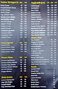 Punjab Grillz menu 2