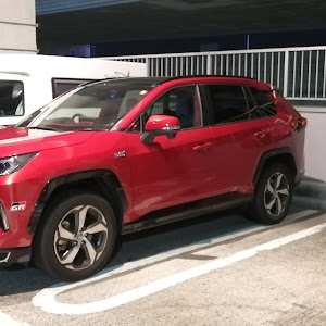 RAV4 AXAP54