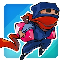 Rogue Ninja