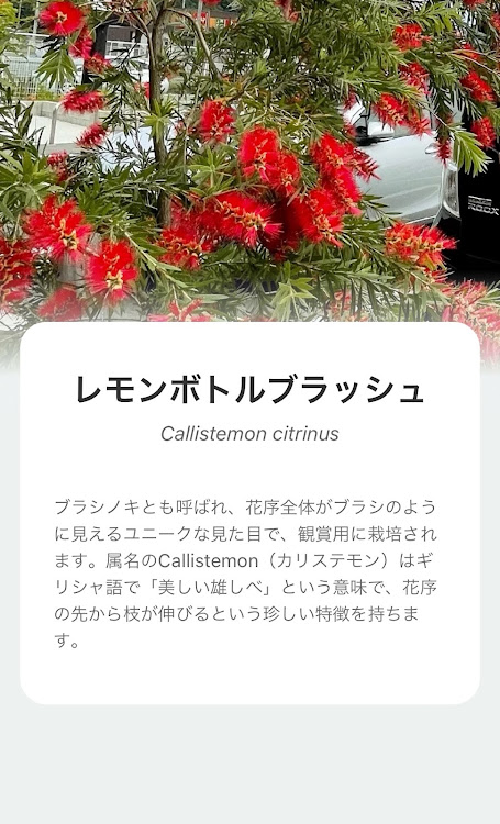 デイズルークスのスタバ・スタバ映え・スタバ盛りに関するカスタム事例の投稿画像3枚目