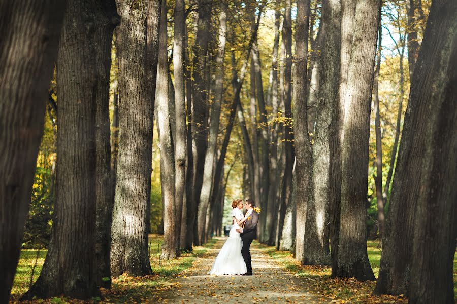 Fotografo di matrimoni Elena Tolubeeva (itzy). Foto del 6 novembre 2014