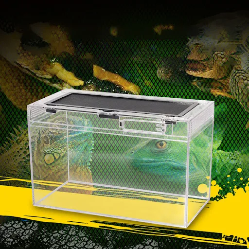 Transparent Acrylic Reptile Terrarium Habitat Breeding Box Reptiles Cage Nano Arboreal Tarantula Enclosure for Spider Sc
