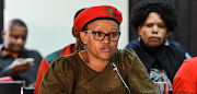 EFF Gauteng chairperson Mandisa Mashego made submissions before the SAHRC inquiry into Alexandra township. 