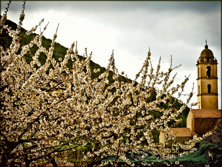 Printemps en Corse di Silvio Lorrai