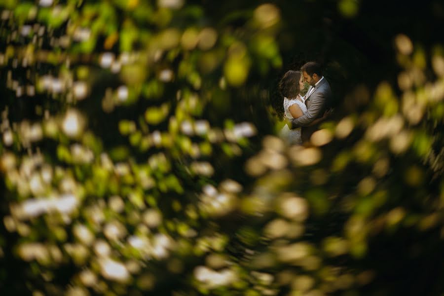 Fotografo di matrimoni Mihai Ruja (mrvisuals). Foto del 16 agosto 2016