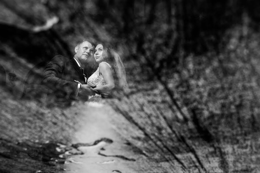 Fotógrafo de bodas Curticapian Calin (calin). Foto del 28 de noviembre 2016