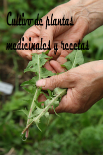 Plantas medicinales, cultivo y dietas(圖1)-速報App