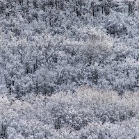 Leggiadria del fiocco di neve  di 