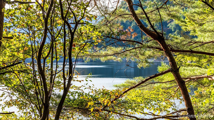 Nボックススラッシュの右斜め前写真展・新潟・紅葉・ダム湖に関するカスタム事例の投稿画像12枚目