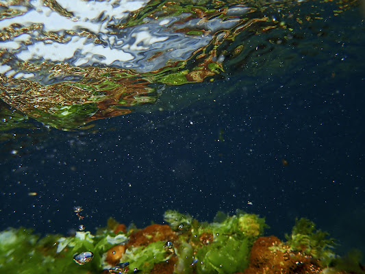 riflessi dal fondo degli abissi di lugiube