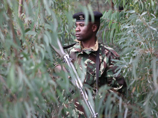 A police officer on guard in Ngong Forest. /JACK OWUOR