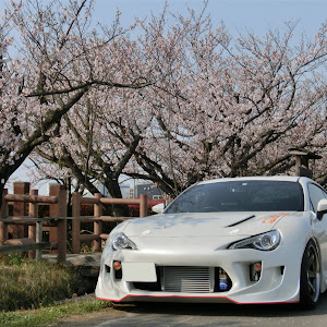 86 ZN6