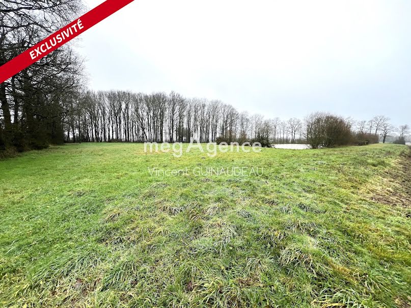 Vente terrain  12539 m² à Saint-Léger-sous-Cholet (49280), 97 000 €