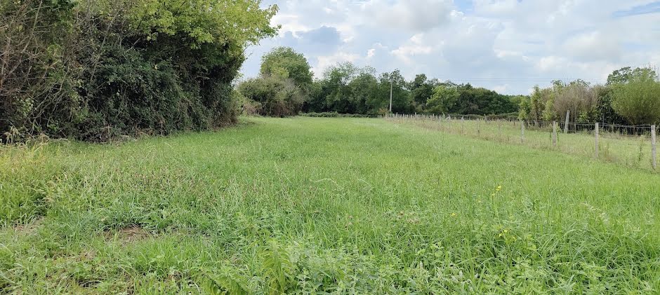 Vente terrain  2990 m² à Eyrans (33390), 66 000 €