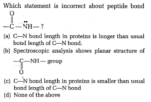 Amino Acids