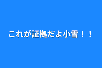 これが証拠だよ小雪！！