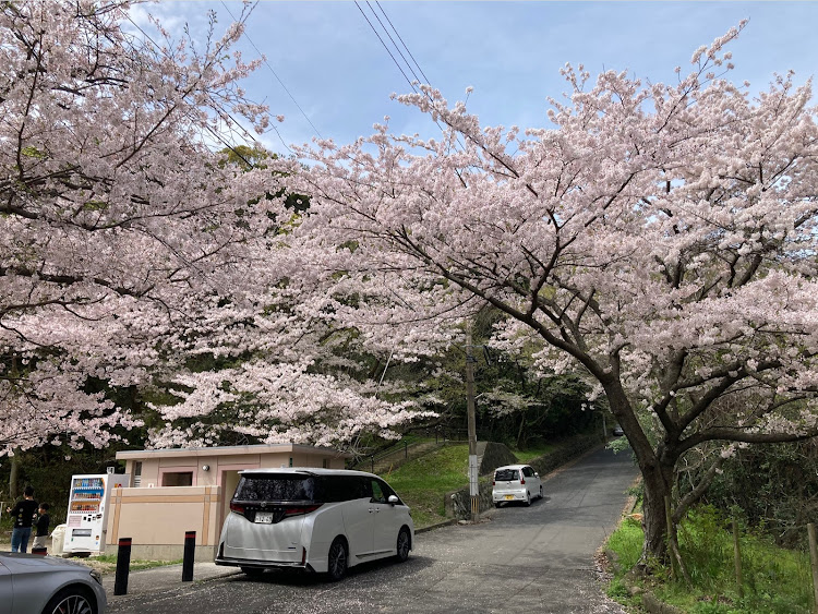 の投稿画像3枚目