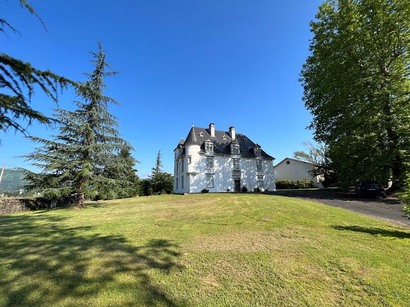 Vente château 12 pièces 600 m² à Ordiarp (64130), 920 000 €