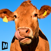 Euro Farm Simulator: Livestock 1.2 Icon