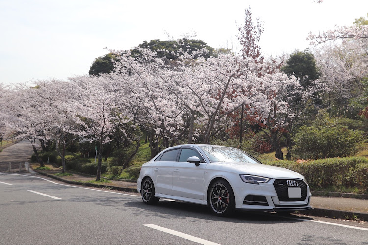 A3 セダンの桜🌸探しの徘徊🤭・ぼっちドライブ🚗 ³₃・単焦点レンズ📸・広角レンズ📸に関するカスタム事例の投稿画像3枚目