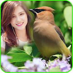 Cover Image of Скачать Bird Photo Frame 1.1 APK