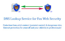 Fox Web Security (DNS Lookup Service) small promo image