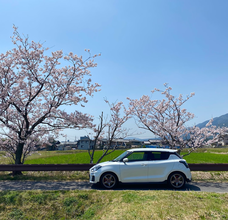 スイフトスポーツの海津大崎🌸(^^;;・石山「串串」・今日も🐯負けた…に関するカスタム事例の投稿画像5枚目