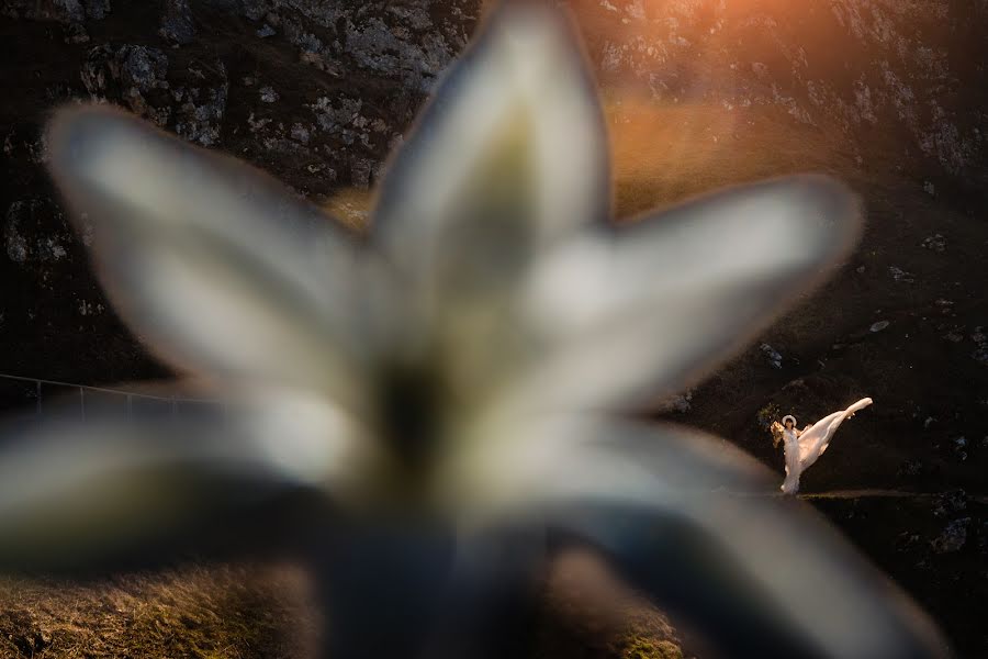 Photographe de mariage Catalin Gogan (gogancatalin). Photo du 17 avril 2022