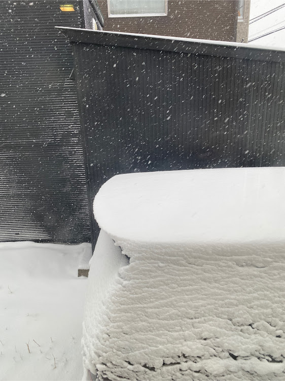 アルファードの雪ヤバイに関するカスタム事例の投稿画像3枚目