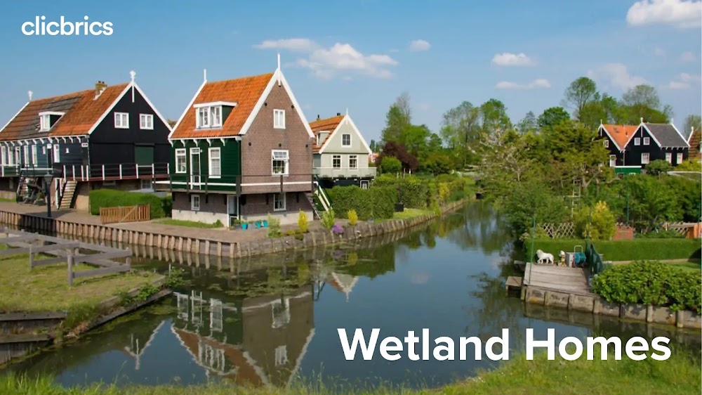 Is Buying Property Near Wetlands A Great Idea?