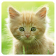 Cats Memory Game Free icon