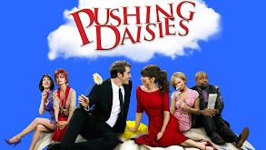 Pushing Daisies thumbnail