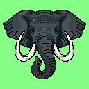 Elephant Green