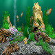 Download Aquarium Live Wallpaper For PC Windows and Mac 1.0