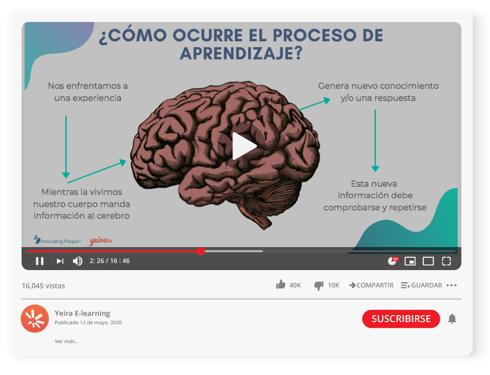 Fundamentos básicos de la neuroeducación del aprendizaje