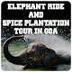 Download Spice Plantation Tour with Elephant Ride Goa For PC Windows and Mac 1.0.1