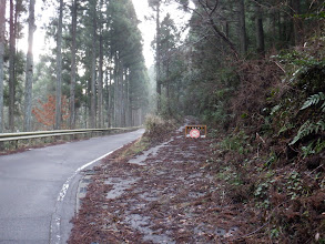 右に鳳地峠への林道