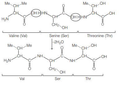 Solution Image