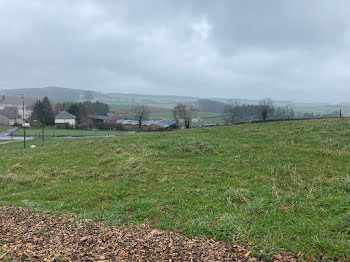 terrain à Lafeuillade-en-Vézie (15)