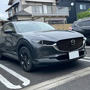 CX-30 DM8P