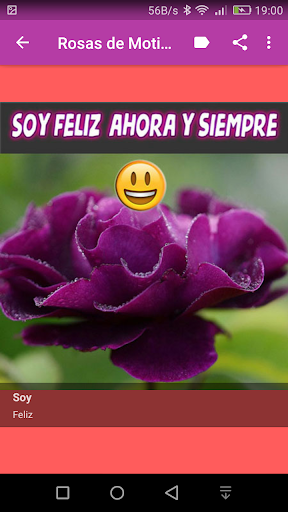 Rosas de Amor con Frases Románticas