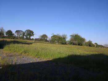 terrain à Saint-Pierre-des-Landes (53)