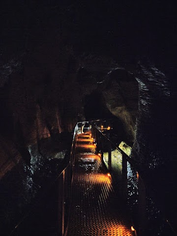 Ruakuri Cave Walkway