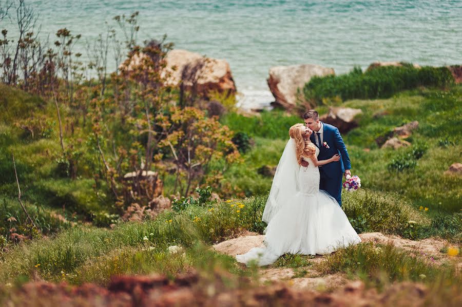 婚礼摄影师Dmitriy Vasilenko（dmvasilenko）。2015 6月8日的照片