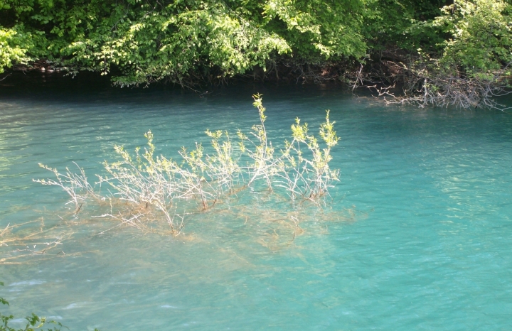 Sul lago di ildarita